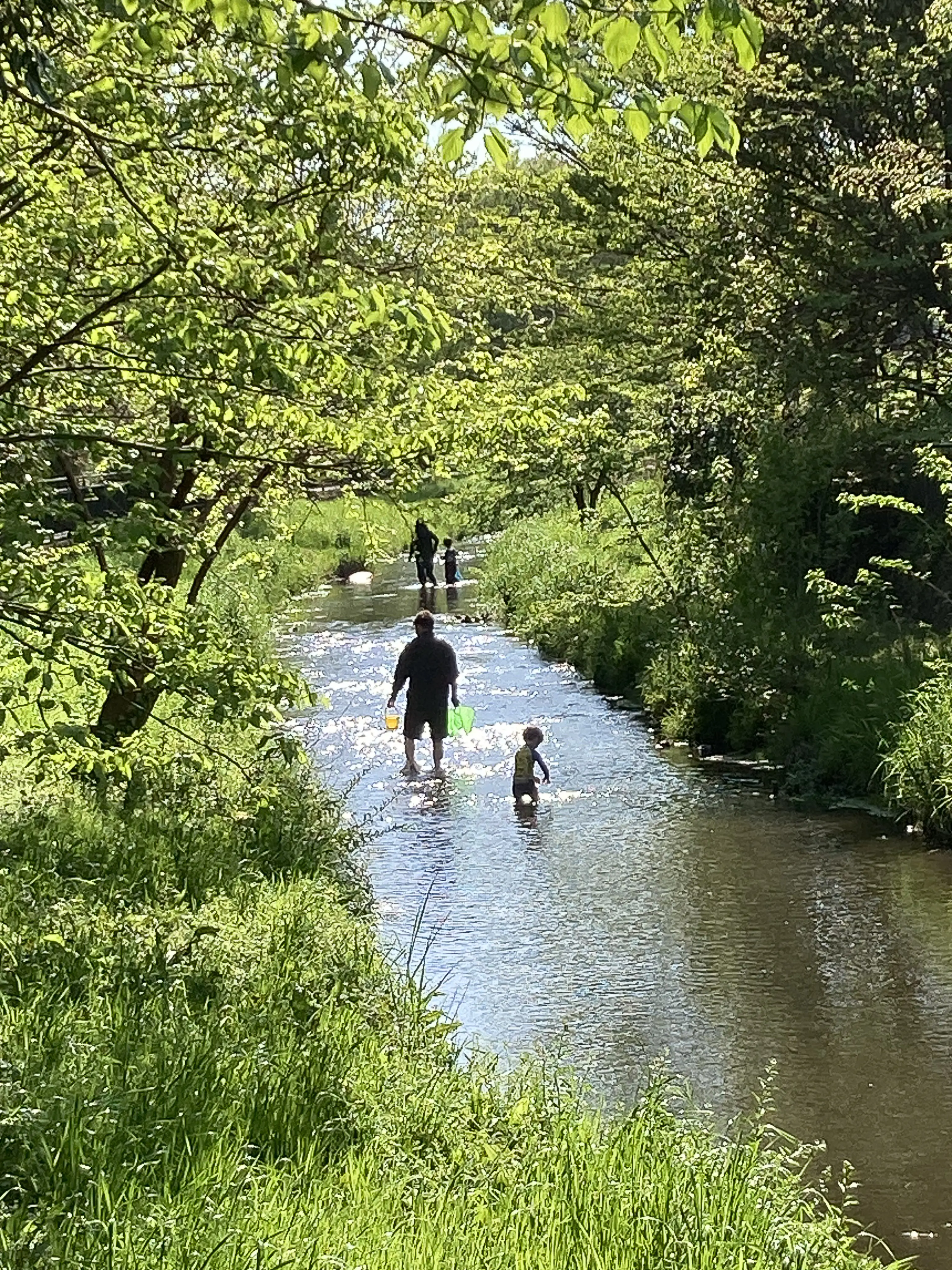 落合川の風景